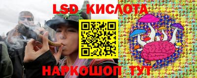 прущие крисы Моздок