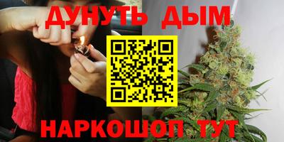 гашик Можайск