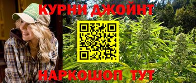 гашик Можайск