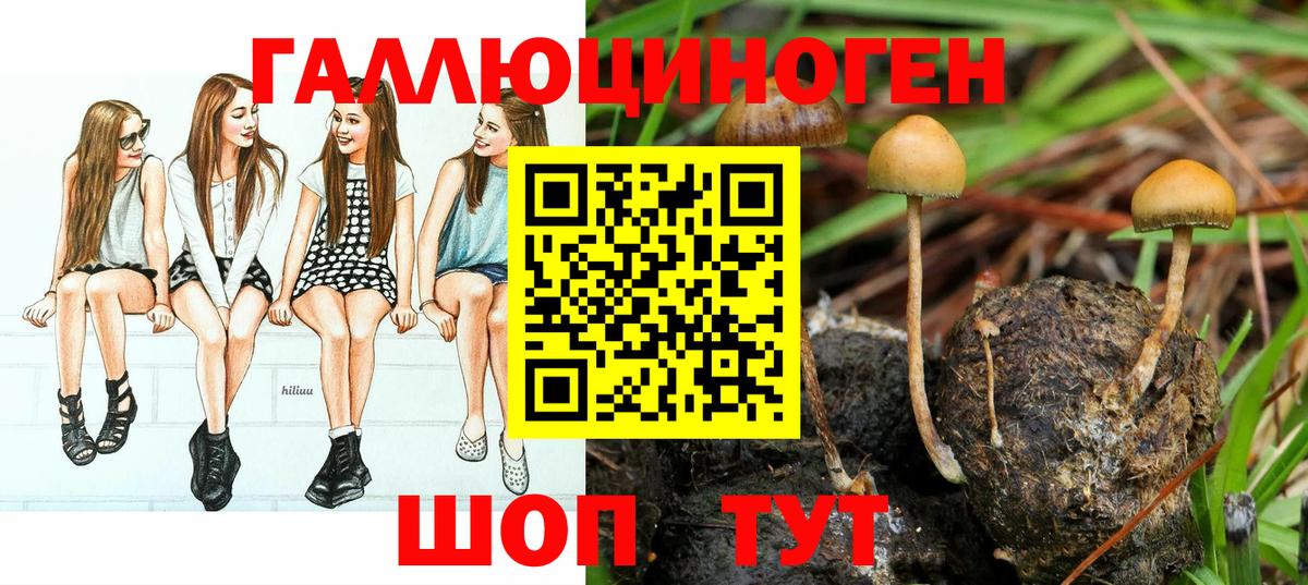 Галлюциногенные грибы прущие грибы Шелехов